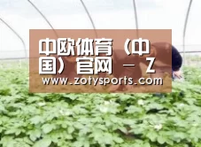 种植基地三