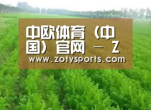 种植基地四