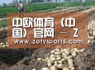 种植基地七(图1)