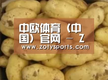 产品展示标题6