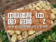 产品展示标题3