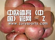 产品展示标题1