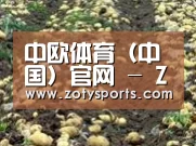 种植基地七