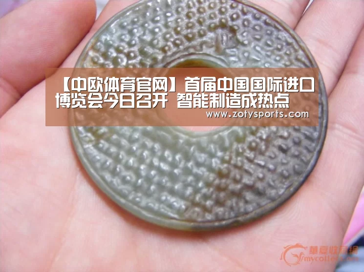 中欧体育