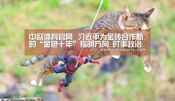 中欧体育官网
