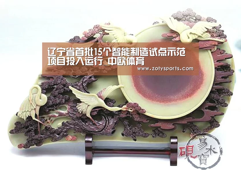辽宁省首批15个智能制造试点示范项目投入运行_中欧体育(图2) 中欧体育app